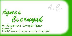 agnes csernyak business card