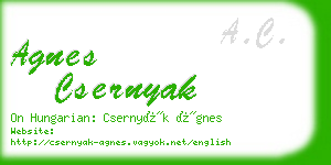 agnes csernyak business card